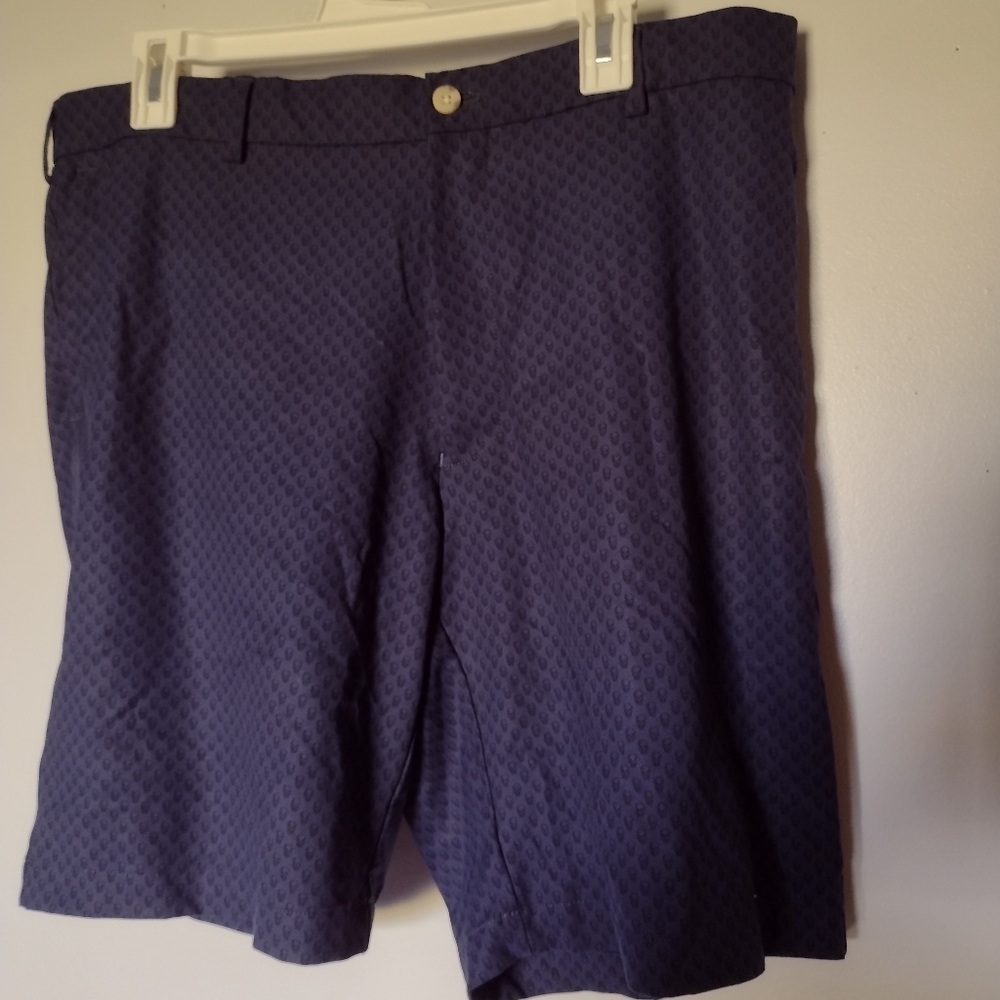 Peter Millar Men's Shorts Size 38x 10 Blue